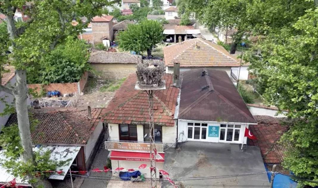 Sadık leylek, 20 yıldır o kentteki aynı elektrik direğine gelip yuva yapıyor! Mahalleli, leyleğe isim bile vermiş 6